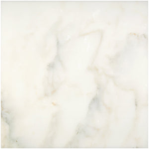 Calacatta Oliva Marble Tile - 24x24