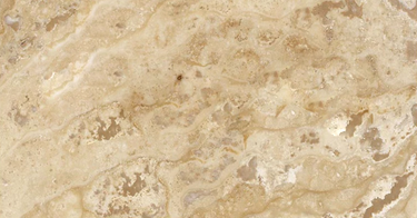 Philadelphia Travertine 12’’ X 24’’ Tile Filled & Honed Wall Tile