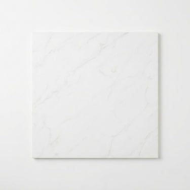 Bianco Dolomite Tile - 12x12