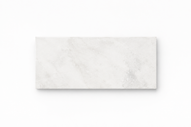 Single 3x6 Bianco Congelato dolomite tile with pale white color and soft gray natural movement