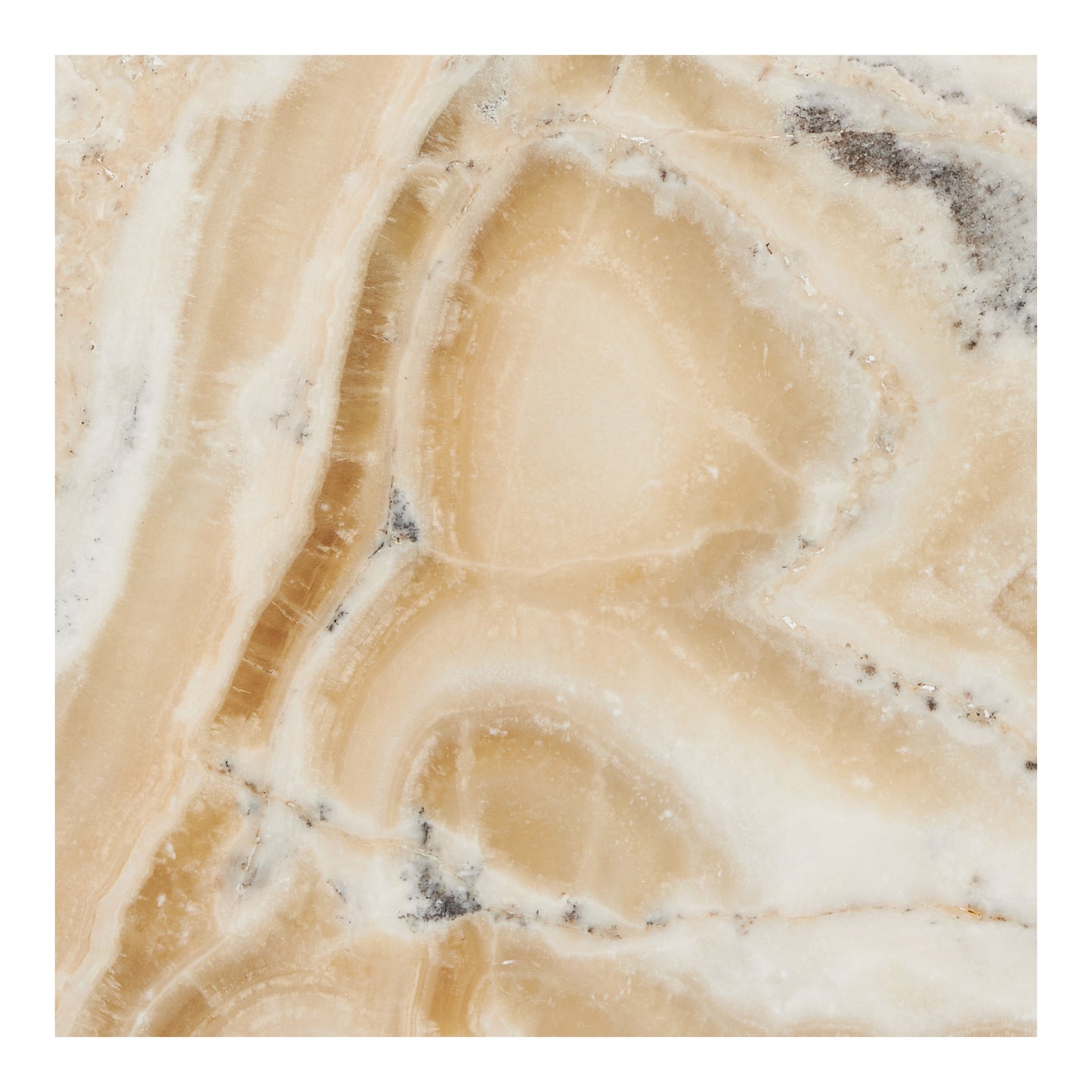 Latravonya Travertine 18’’ X 18’’ Tile Filled & Honed Wall Tile