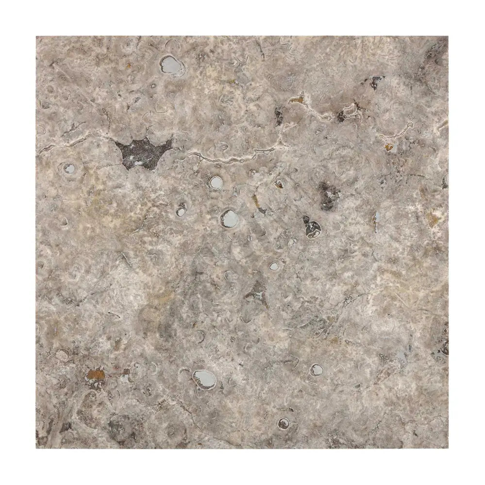 Silver Pewter Blend Travertine 24’’ X 24’’ Tile Tumbled/Filled & Honed Filled & Honed / 1 sq. ft. Wall Tile