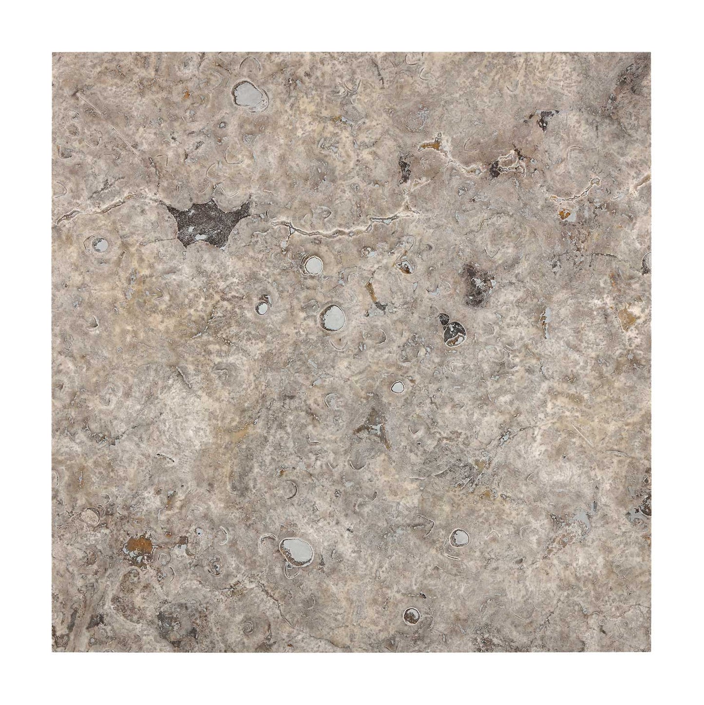 Silver Pewter Blend Travertine Tile - 18x18