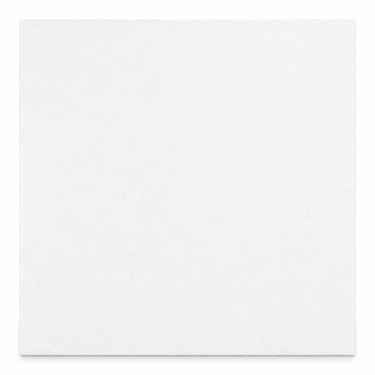 Thassos White 12x12 marble tile straight-on hero