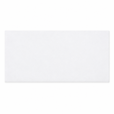 Thassos White 12x24 marble tile straight-on hero