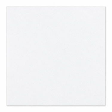 Thassos White 18x18 marble tile straight-on hero