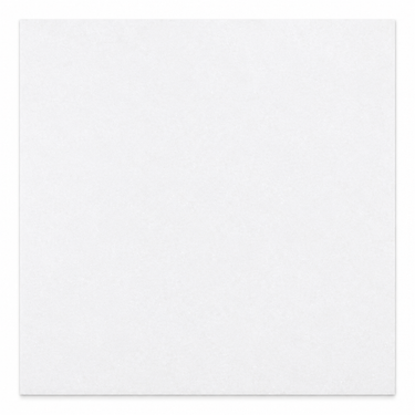 Thassos White 24x24 marble tile straight-on hero