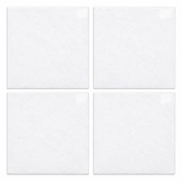Thassos White 6x6 polished marble tile hero