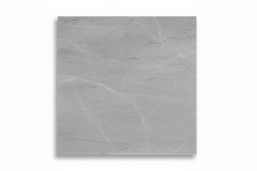 Tundra Gray 24x24 marble tile product shot