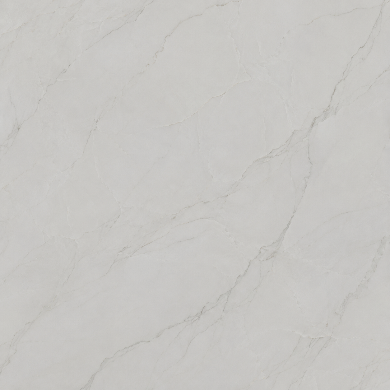 Bianco Dolomiti Marble Tile - 24x24