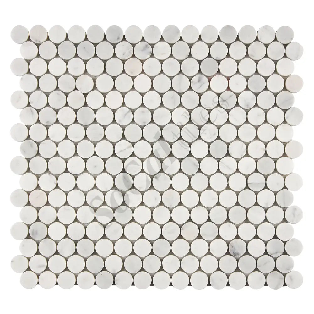 Bianco Carrara White Marble Penny-Round Mosaic Wall Tile