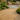 Gold/Yellow Travertine Flat-Pebble Mosaic garden pathway