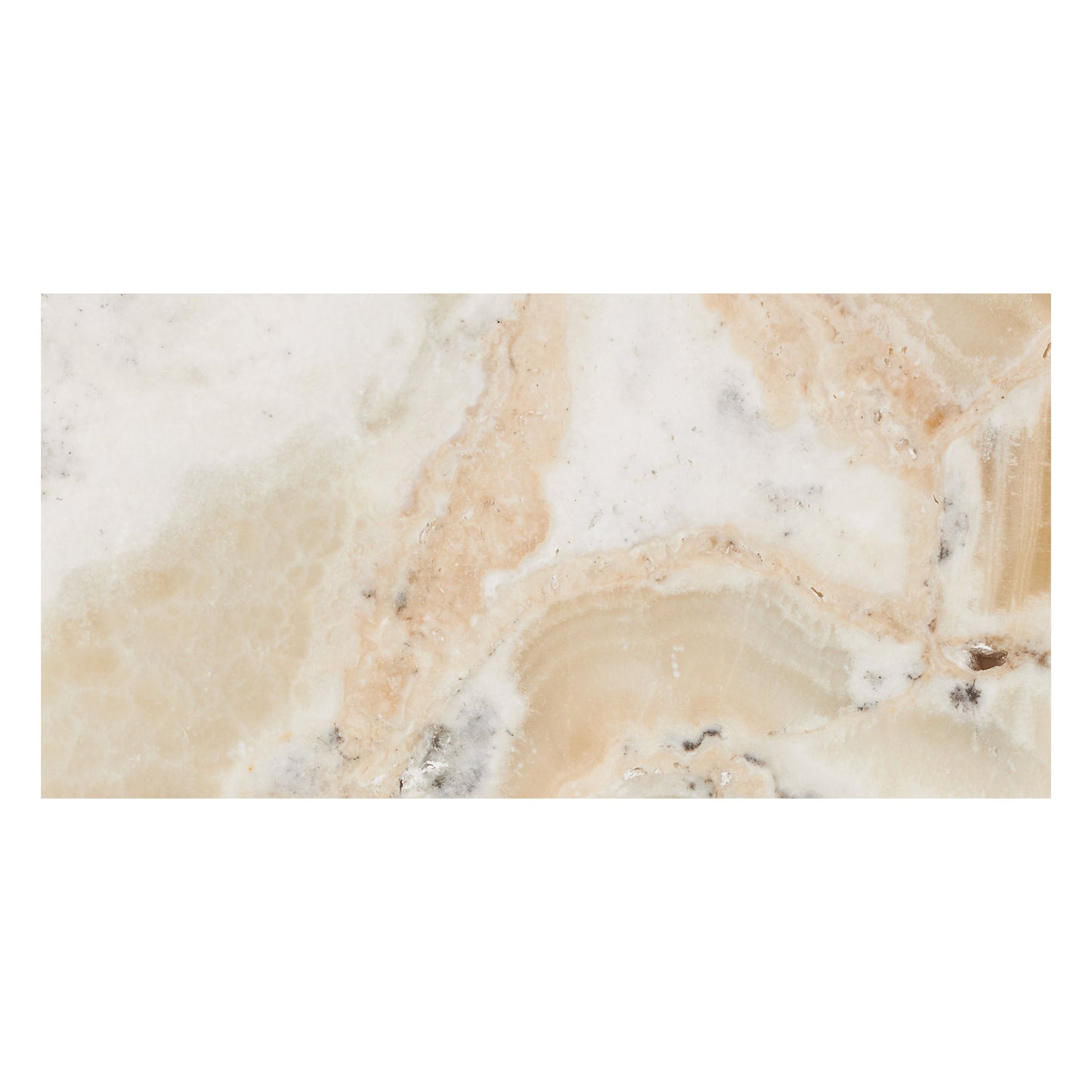 Latravonya Travertine 12’’ X 24’’ Tile Filled & Honed Wall Tile