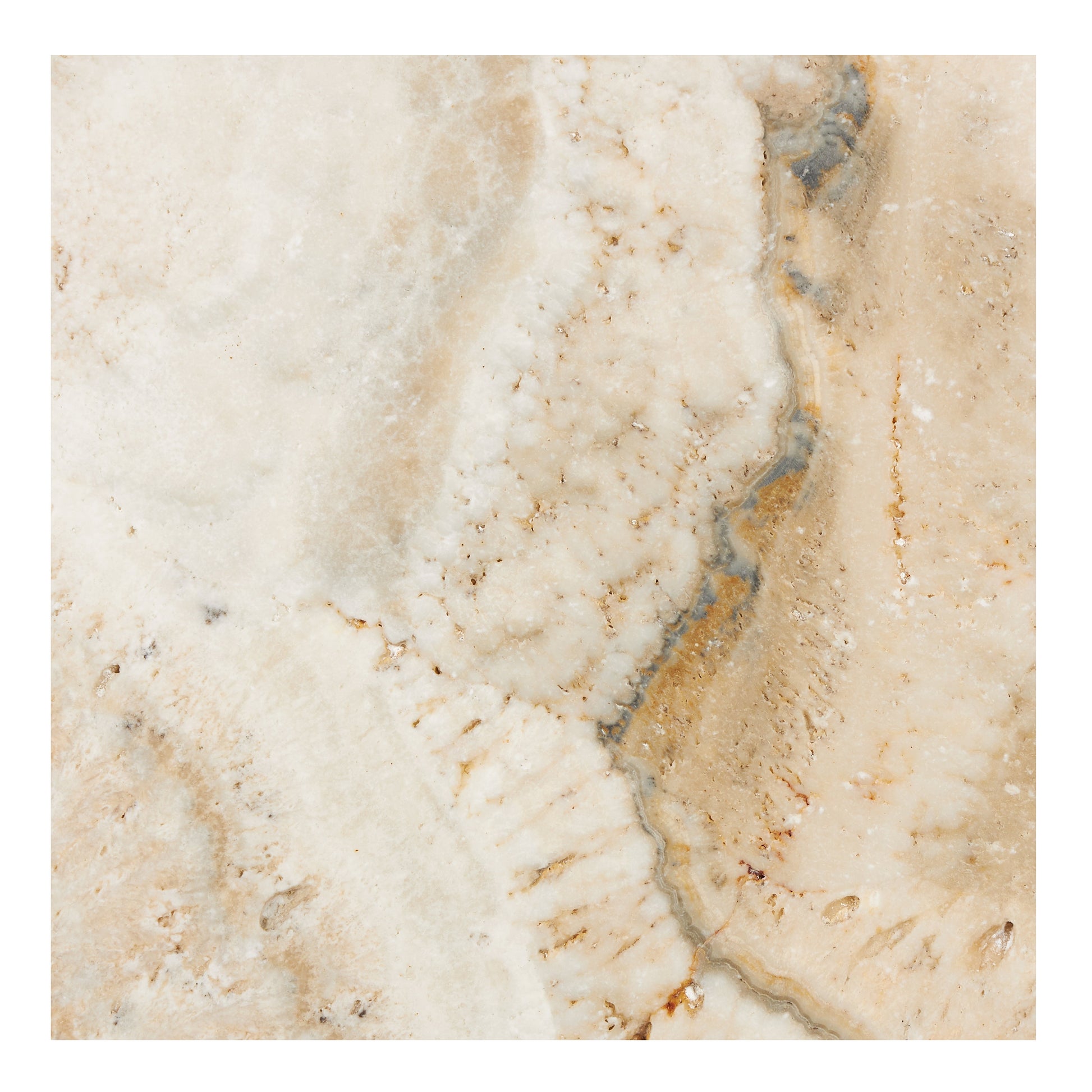 Latravonya Travertine 12’’ X 12’’ Tile Tumbled/Filled & Honed Filled & Honed / 1 sq. ft. Wall Tile